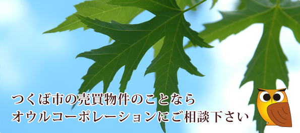 売り地などの売買物件を扱うつくば市の不動産　オウルコーポレーション